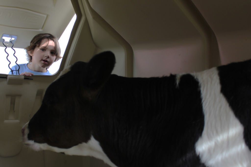 Looking in (copy)
